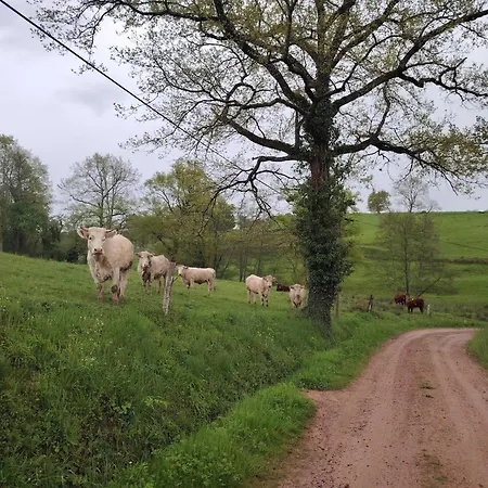 De Nath - Classe 4 Etoiles *