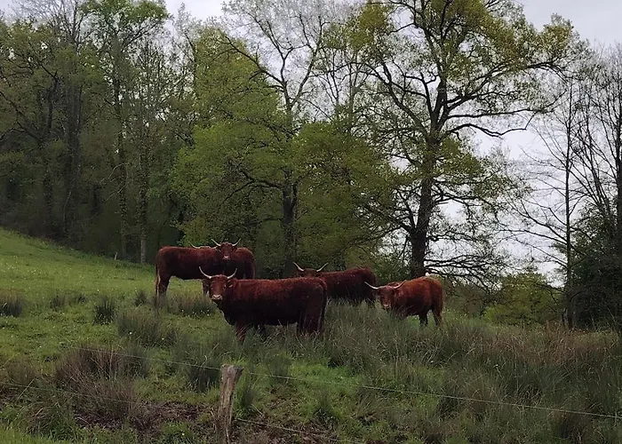 De Nath - Classe 4 Etoiles *